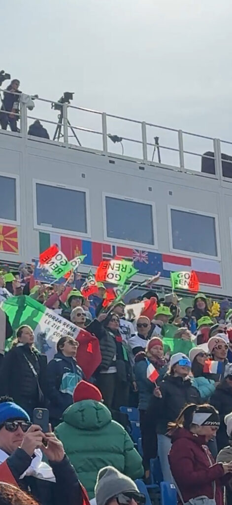 supporters in the crowd waiving flags